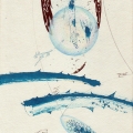 Constanze Zorn Zeichnung