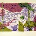 Sonomi Kobayashi, relationship