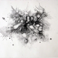 Sonomi Kobayashi, seen and unseen 1