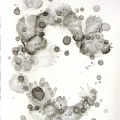 Sonomi Kobayashi, seen and unseen 4